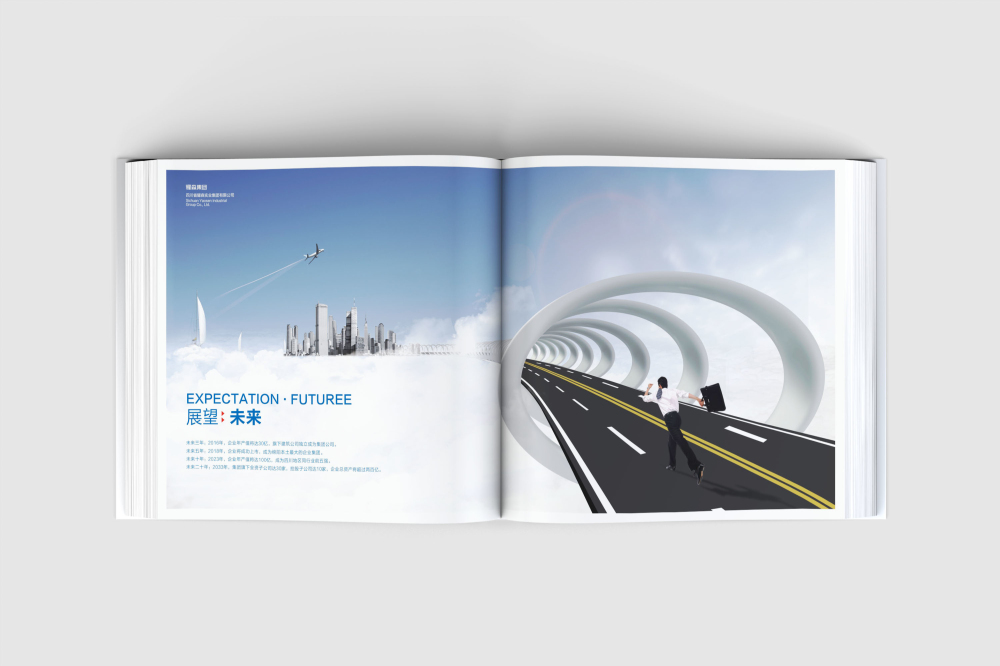 沙市区画册设计